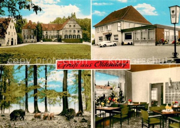 Oldendorf Wiehengebirge Gut Ostenwalde Gasthof Oldendorfer Tor Im Wildpark Gasts