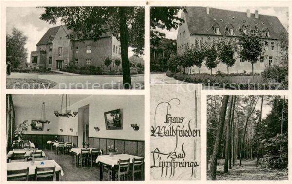 Lippspringe Bad Haus Waldfrieden Gaststube Waldpartie
