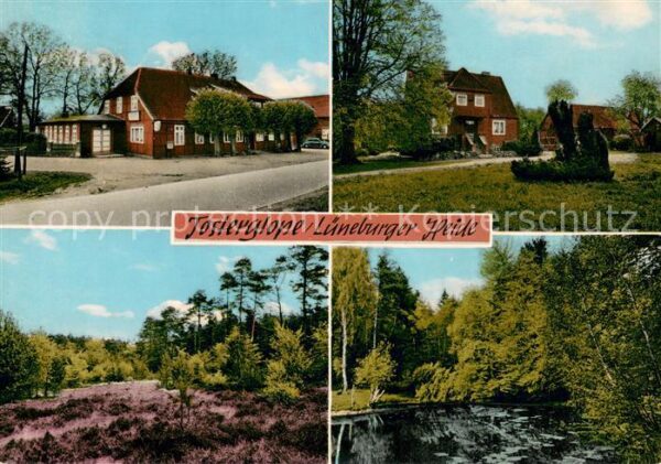 Tosterglope Gast und Pensionshaus Hachmeister Lueneburger Heidelandschaft