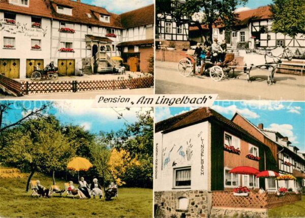 Rengshausen Hessen Pension Am Lingelbach Pferdekutsche Park