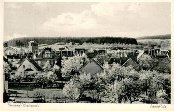 Dorndorf Westerwald Ortsansicht mit Kirche Baumbluete