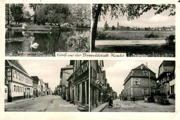Kandel Pfalz Panorama Bienwaldstadt Schwanenweiher Hauptstrasse Rathaus