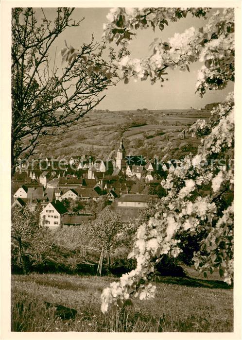 Creglingen Panorama