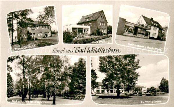 Bad Waldliesborn Haus Osthold Haus Heitzig Heinemanns Park Cafe Birkenallee im K