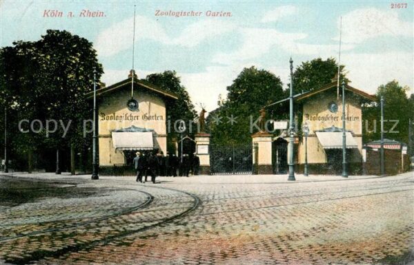 Koeln Rhein Zoologischer Garten