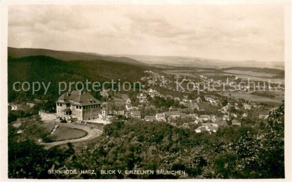 Gernrode Harz Blick vom Einzelnen Baeumchen
