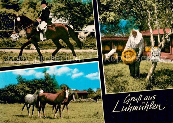 Luhmuehlen Dressurreiter Pferde Imkermeister Graue Honigversand