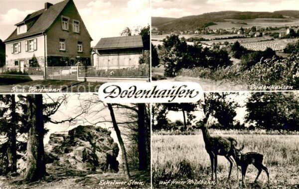 Dodenhausen Pension Hartann Panorama Exheimer Stein Reh mit Kitz