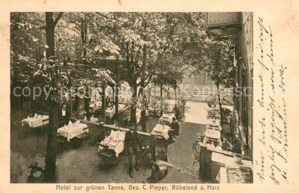 Ruebeland Harz Hotel zur gruenen Tanne
