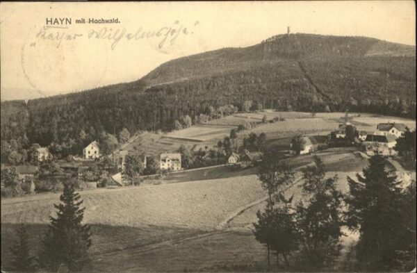 Hayn Hochwald