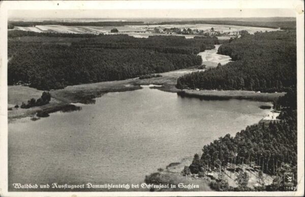 Ochsensaal Fliegeraufnahme Dammuehlenteich