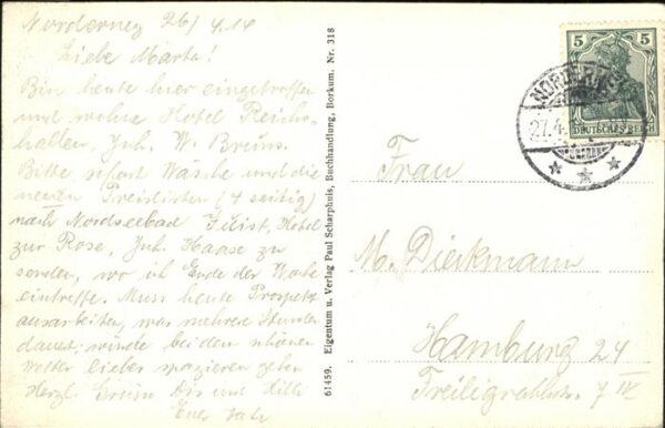 Borkum Walfisch Kinnladen – Bild 2