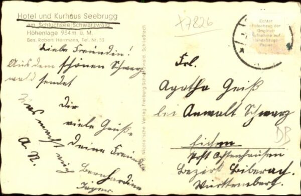 Schluchsee Hotel Kurhaus Seebrugg – Bild 2