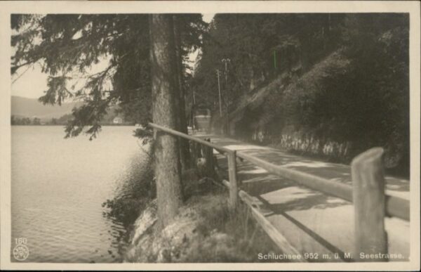 Schluchsee Seestrasse