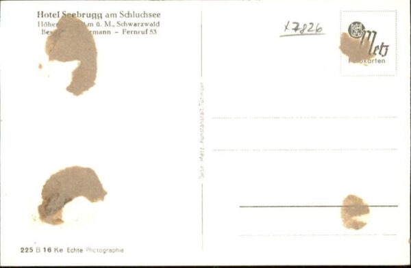 Seebrugg Hotel Schluchsee – Bild 2