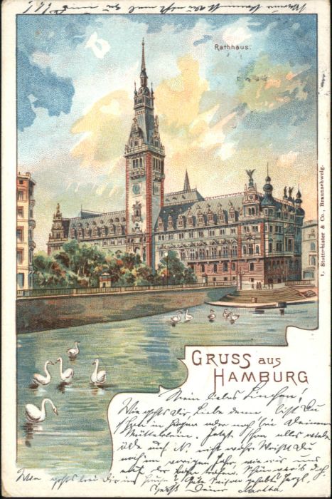 Hamburg Rathaus Schwan