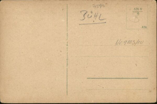 Hundseck Kurhaus Kuehe – Bild 2