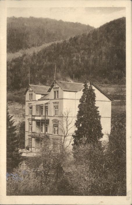 Bad Bertrich Villa Concordia