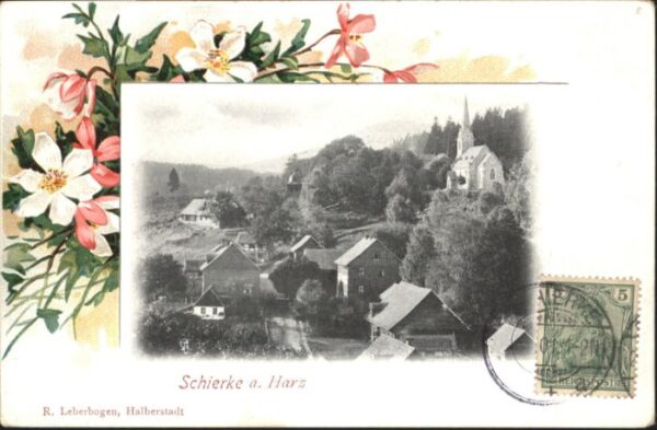 Schierke Harz Schierke Blumen