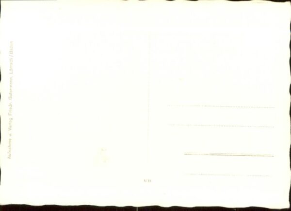Bamlach Rheintal – Bild 2
