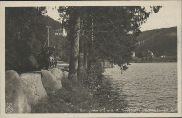 Schluchsee Seestrasse