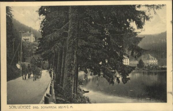 Schluchsee Kutsche