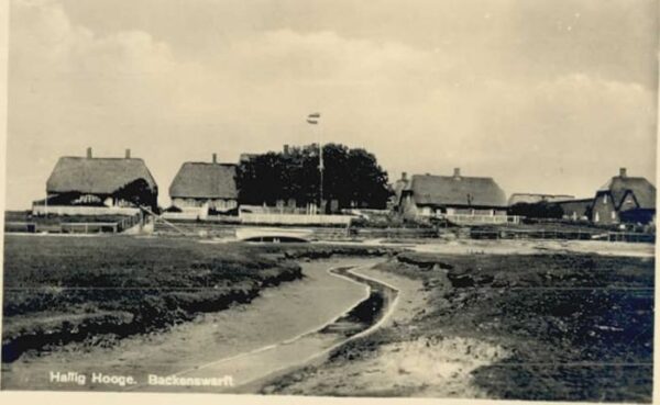 Backenswarft