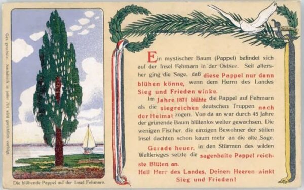 Fehmarn Pappel