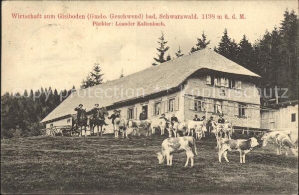 Geschwend Todtnau Berggasthaus Gisiboden