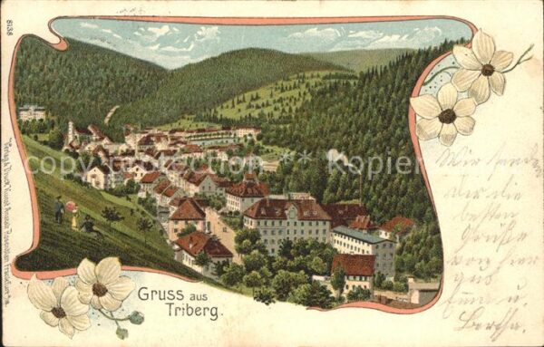 Triberg Schwarzwald Totalansicht Litho