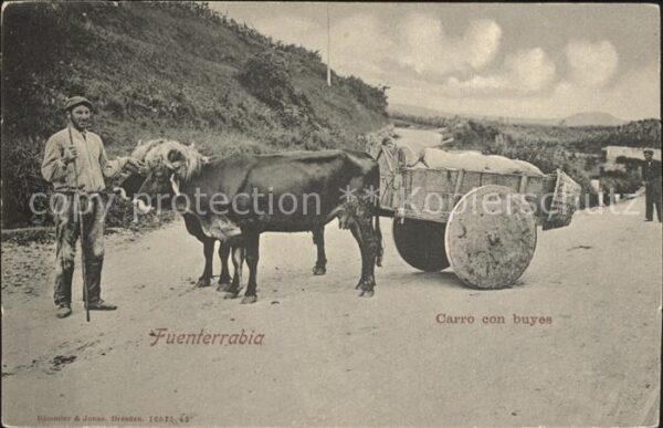 Fuenterrabia Hondarribia Carro con buyes