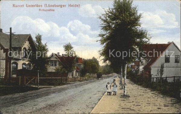 Unterluess Birkenallee