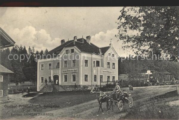 Spiegelau Gasthof Pronfelden