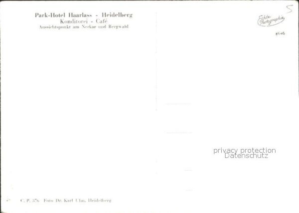 Heidelberg Neckar Park- Hotel- Haarlass – Bild 2