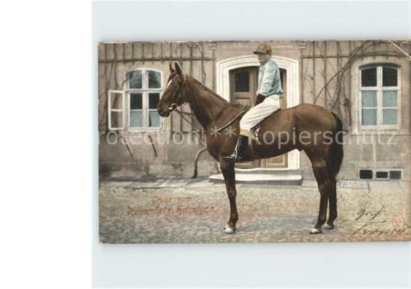 Hassloch Pfalz Rennplatz Pferd mit Reiter