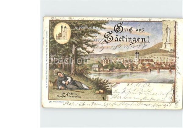 Saeckingen Rhein Stadtblick St Fridolin Apostel