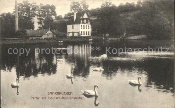 Saarbruecken Partie am Deutsch Muehlenweiher Schwaene