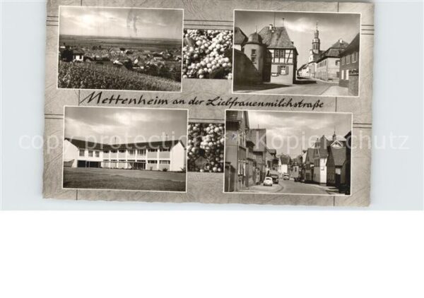 Mettenheim Rheinhessen Panorama Strassenpartie Schule