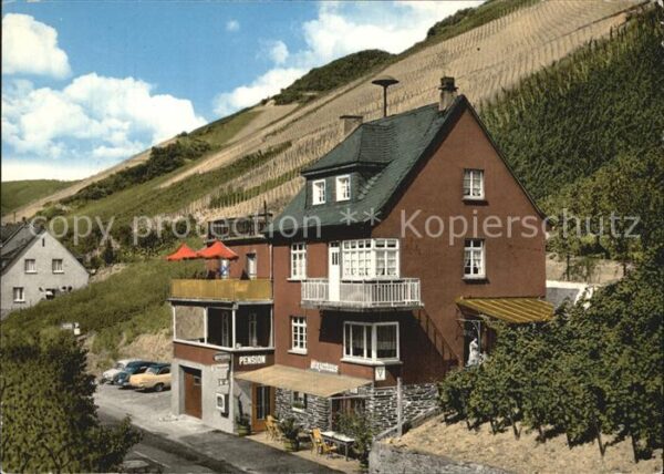 Bacharach Rhein Pension Winzerhaus