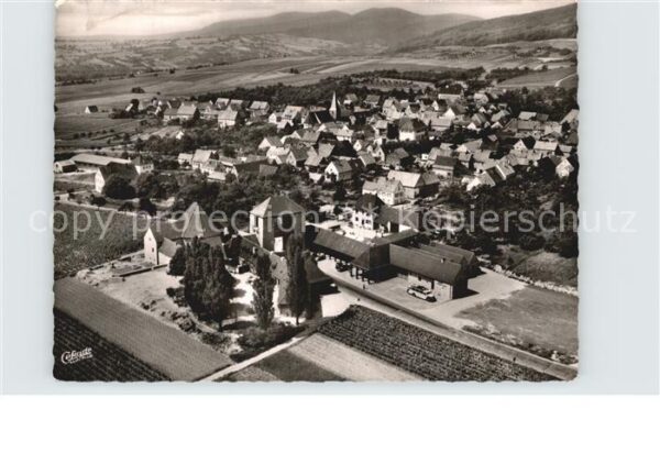 Schweigen-Rechtenbach Deutsches Weintor Fliegeraufnahme
