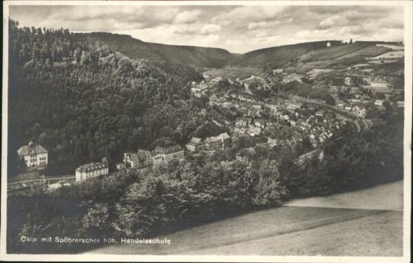 Calw Totalansicht