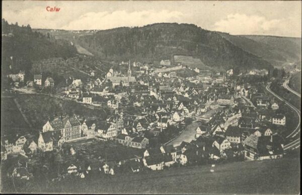 Calw Totalansicht