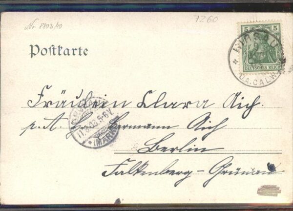 Hirsau Schloss mit Ulme – Bild 2
