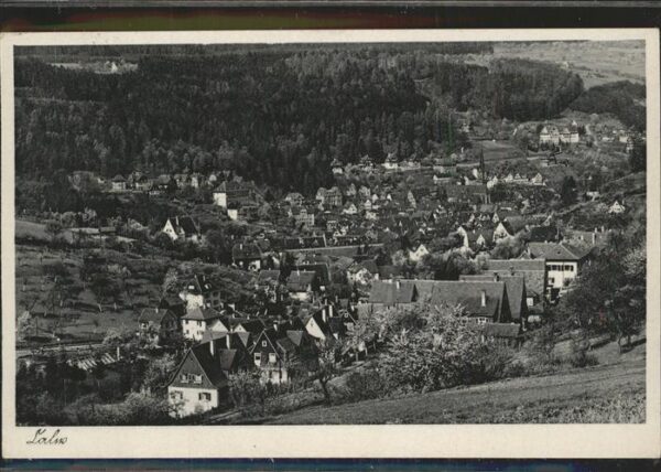 Calw Gesamtansicht