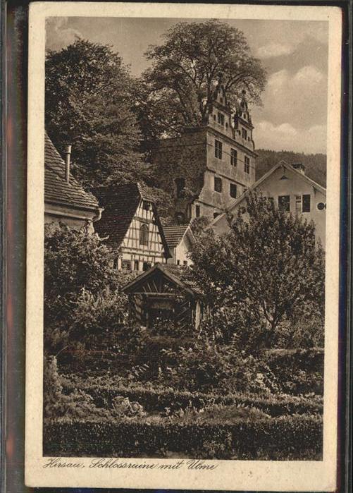 Hirsau Schlossruine mit Ulme