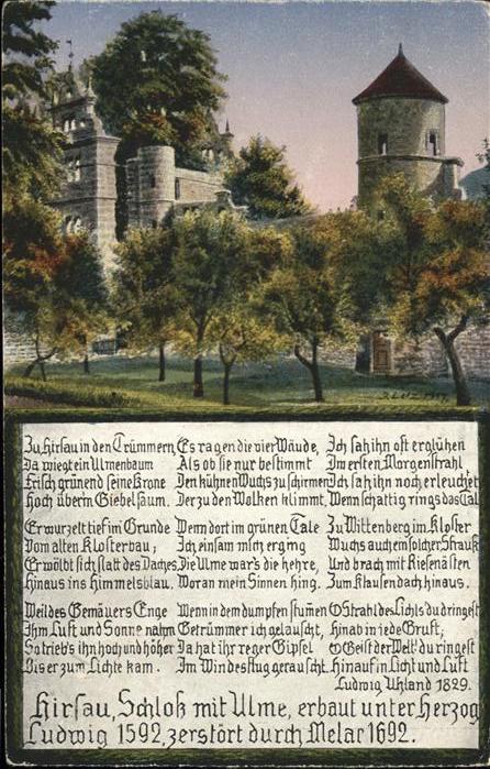 Hirsau Schlossruine mit Ulme
