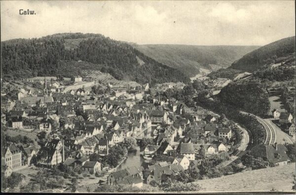 Calw Panorama