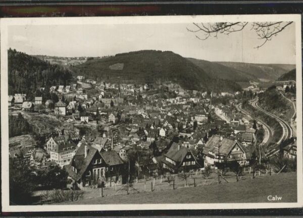 Calw Panorama