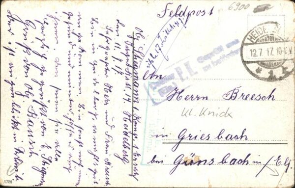 Heidelberg Neckar Molkenkur – Bild 2