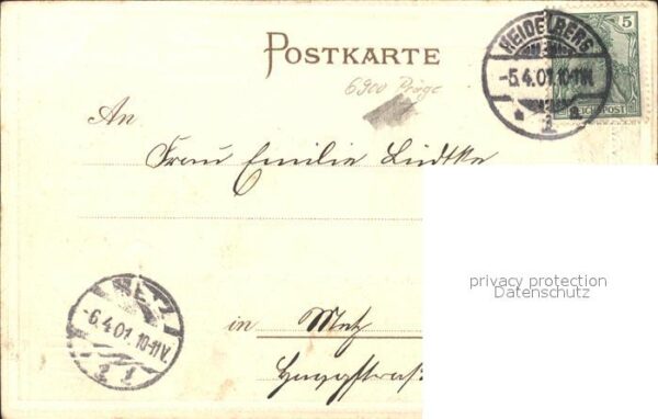 Heidelberg Neckar Schwan – Bild 2